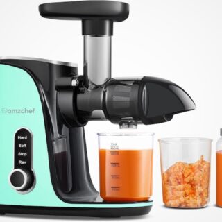 Extracteur de jus AMZCHEF vert, avec modes double vitesse pour fruits mous et durs, bouteille à jus portable incluse, conçu pour une extraction lente et riche en nutriments avec fonction reverse pour éviter les blocages.